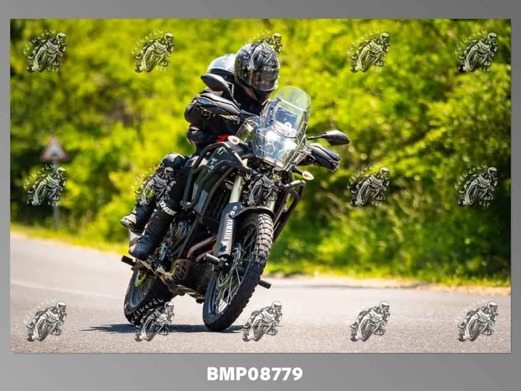 zhp05.31-276.jpg