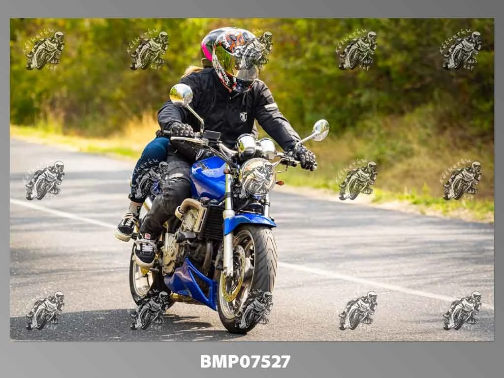 zhp09.13-618.jpg