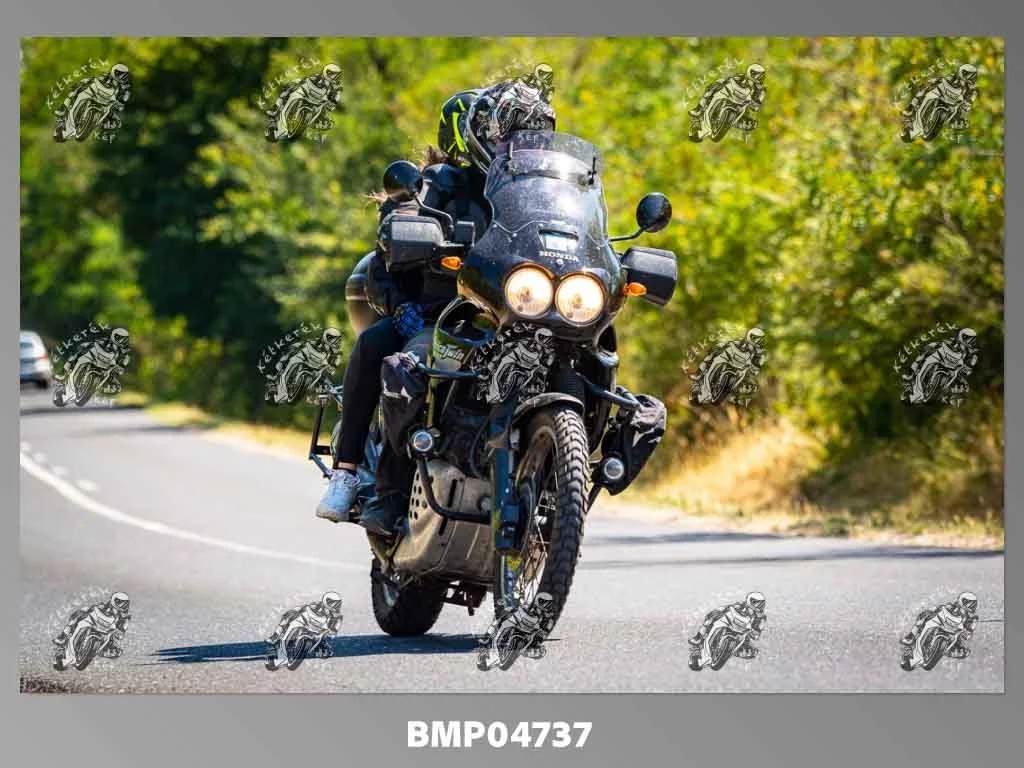 zhp08.09-240.jpg
