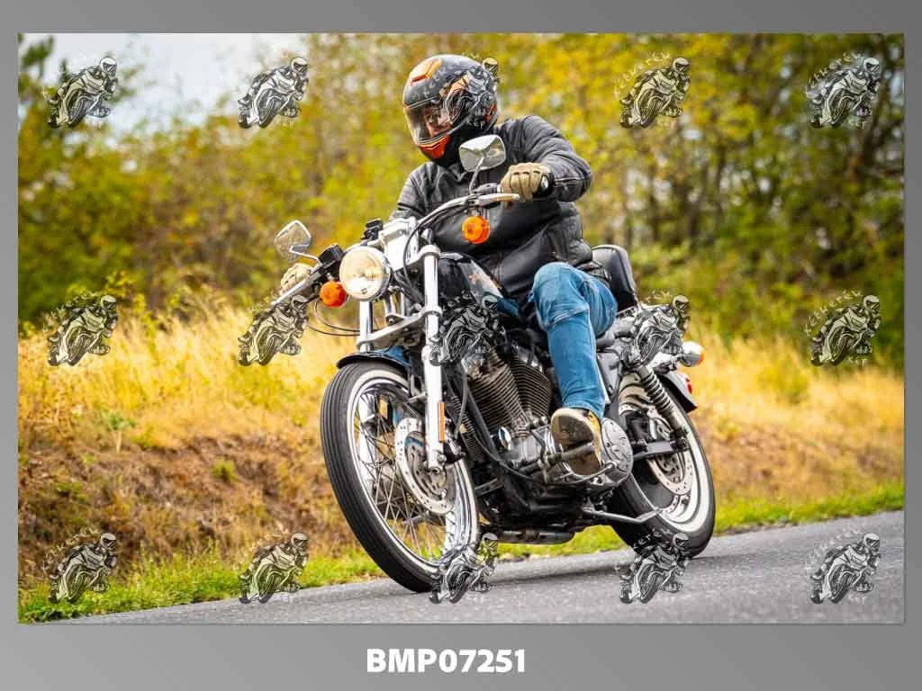 zhp09.13-379.jpg