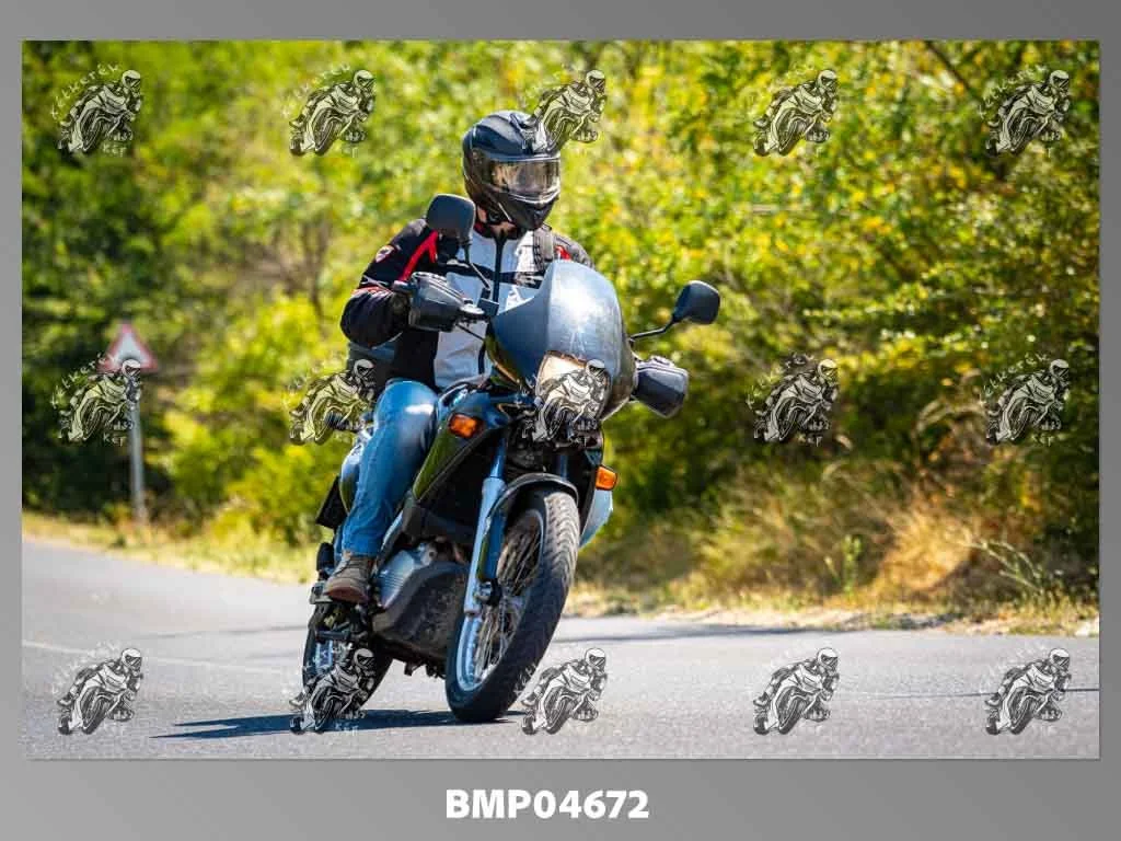 zhp08.09-178.jpg