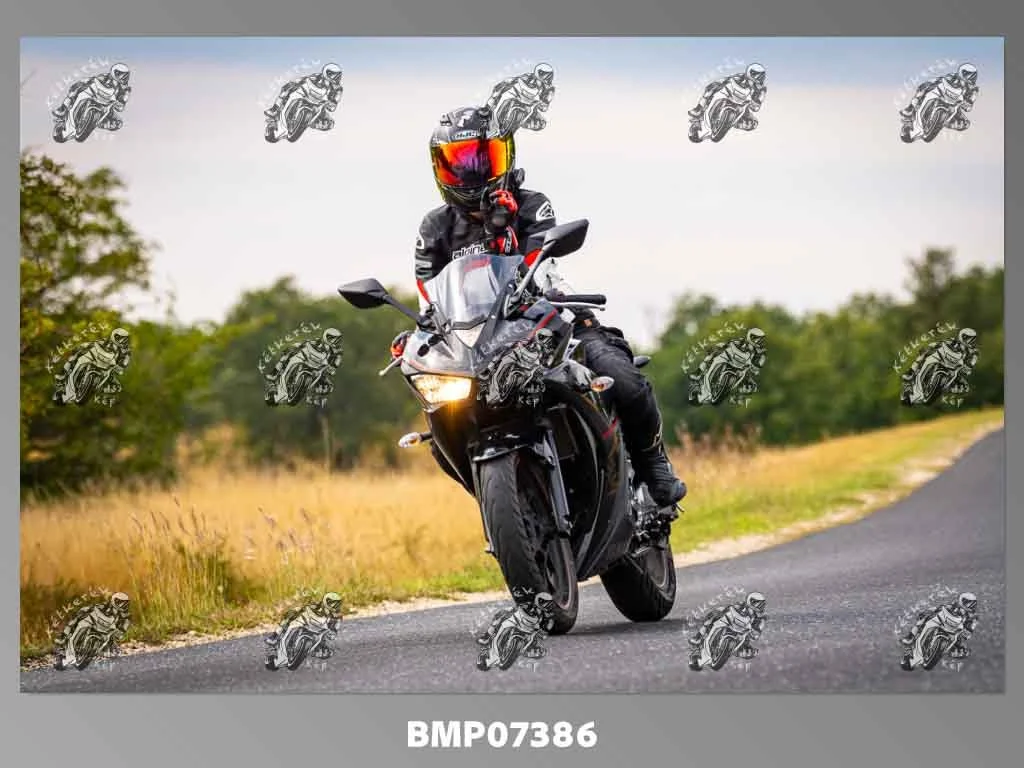 zhp09.13-484.jpg