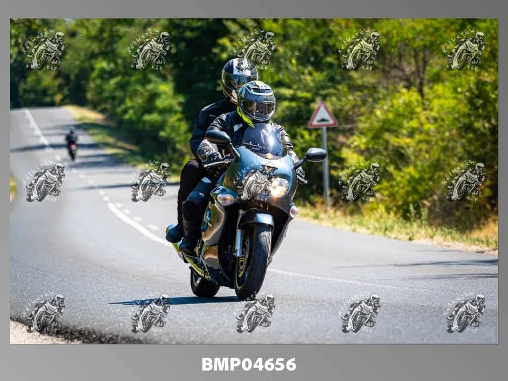 zhp08.09-162.jpg
