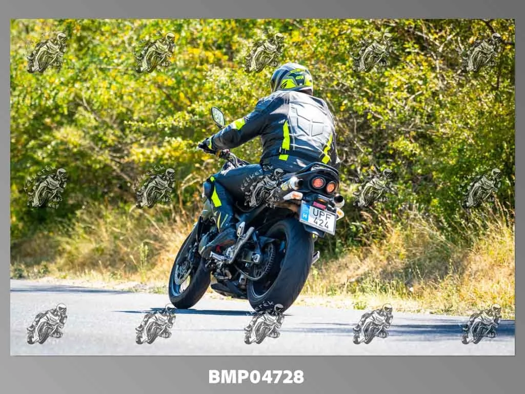 zhp08.09-232.jpg
