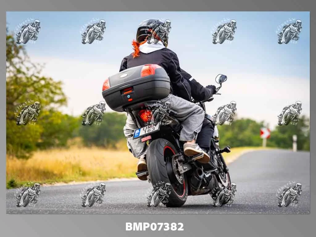 zhp09.13-480.jpg