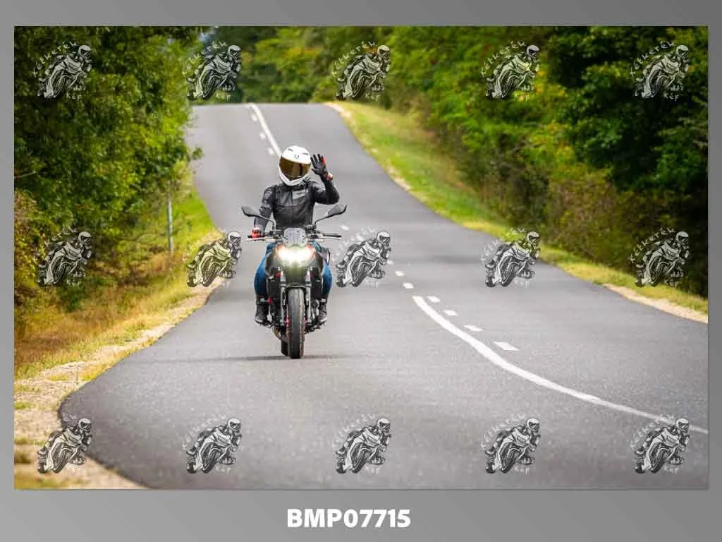 zhp09.13-782.jpg
