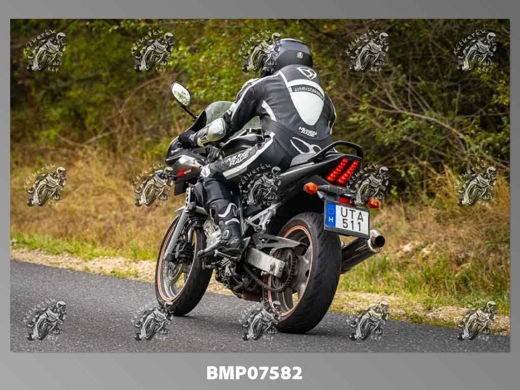 zhp09.13-665.jpg