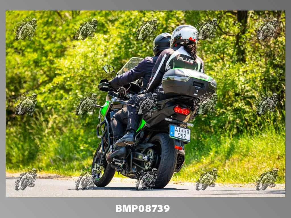 zhp05.31-239.jpg