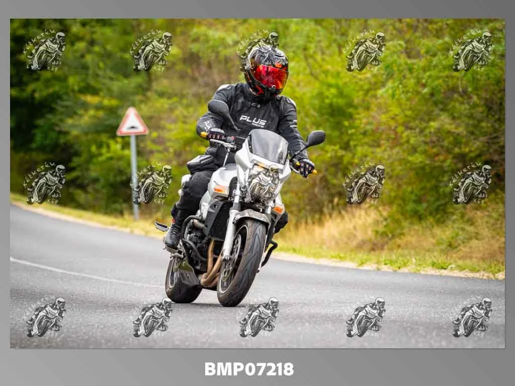 zhp09.13-346.jpg
