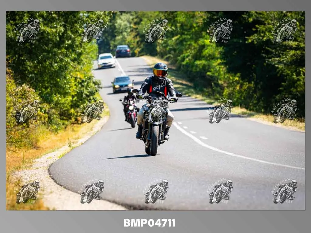 zhp08.09-216.jpg