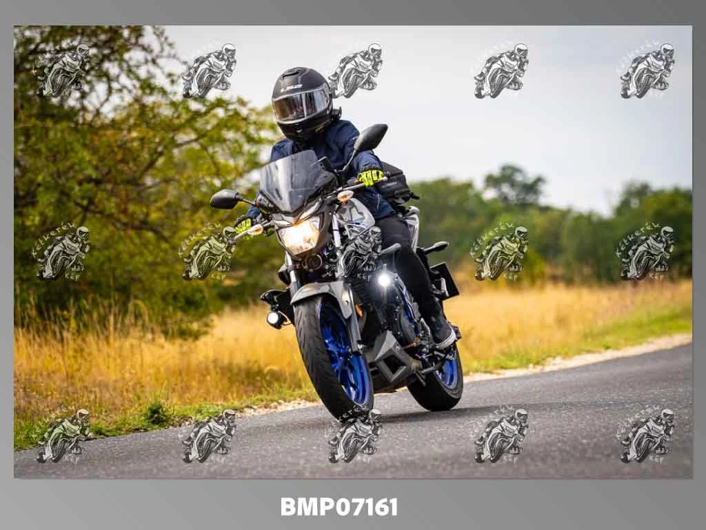 zhp09.13-295.jpg