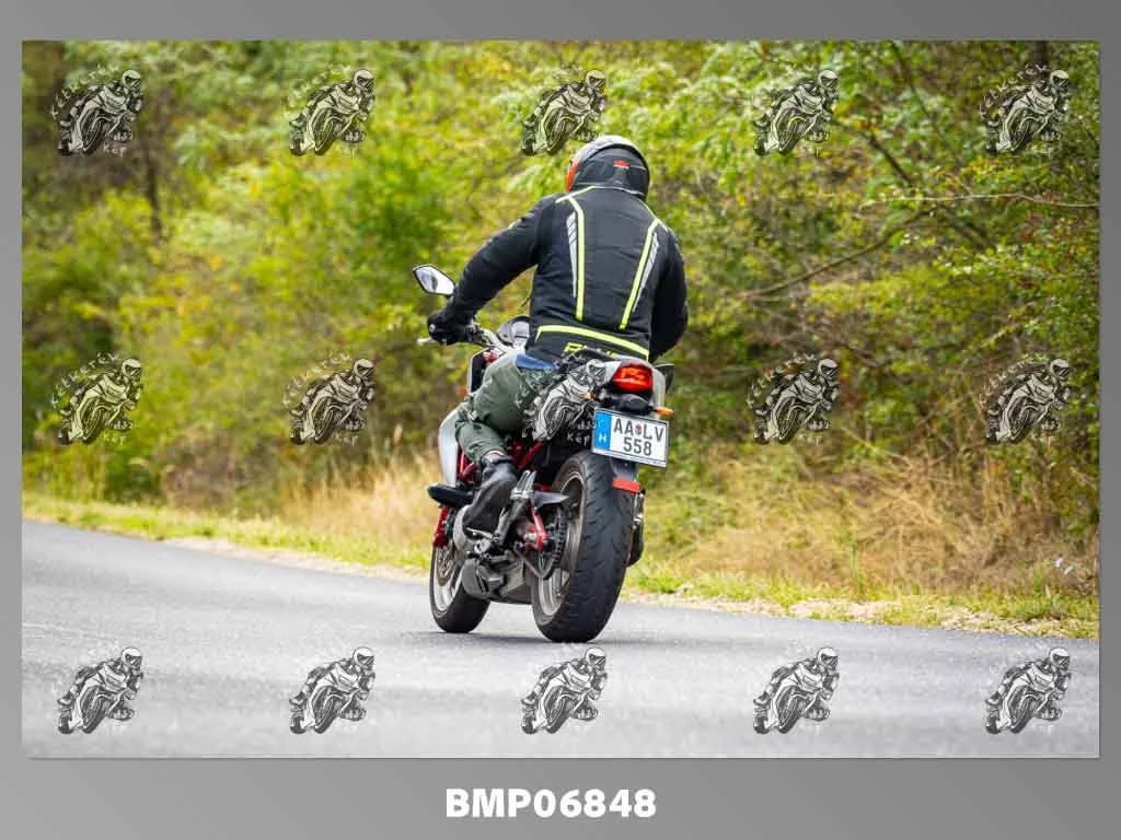 zhp09.13-022.jpg
