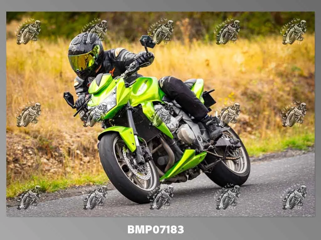 zhp09.13-315.jpg