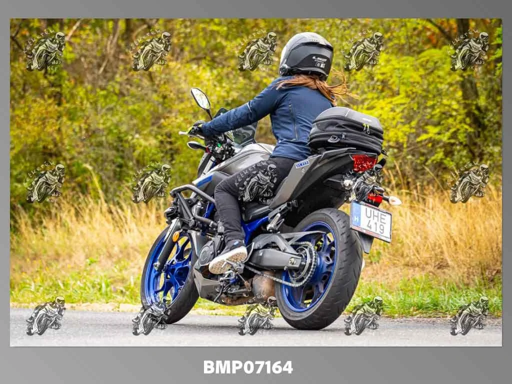 zhp09.13-298.jpg