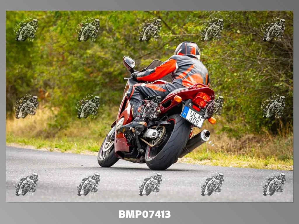 zhp09.13-508.jpg
