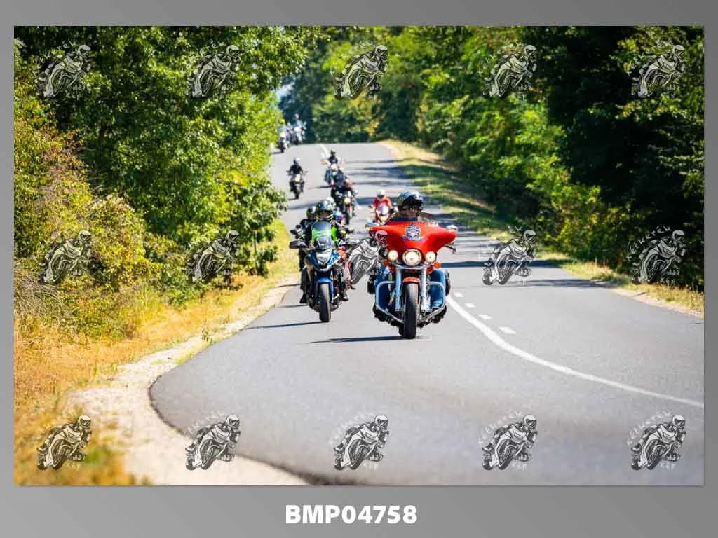 zhp08.09-261.jpg