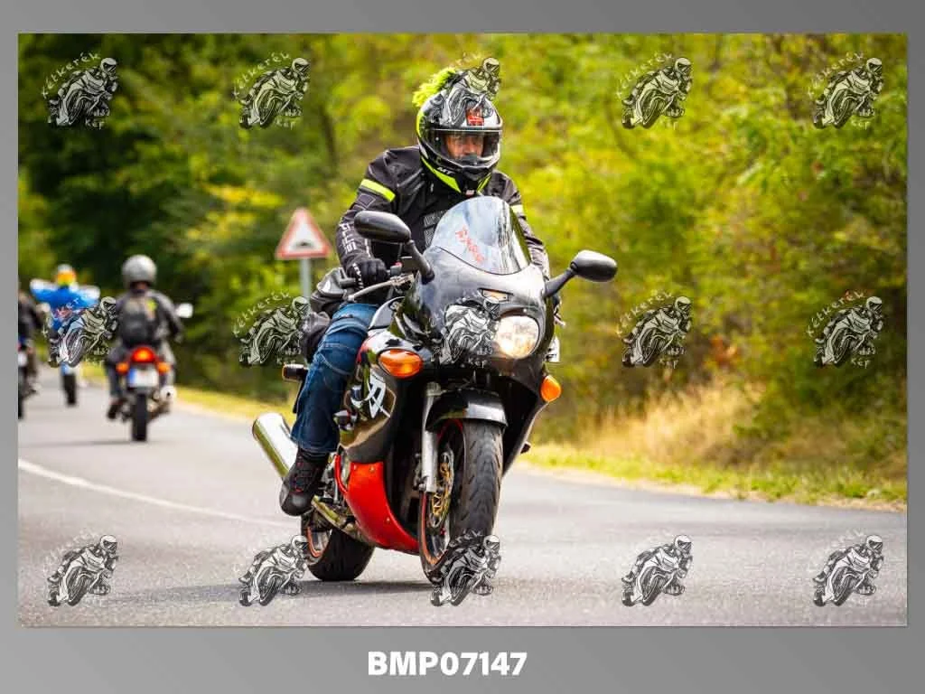 zhp09.13-281.jpg