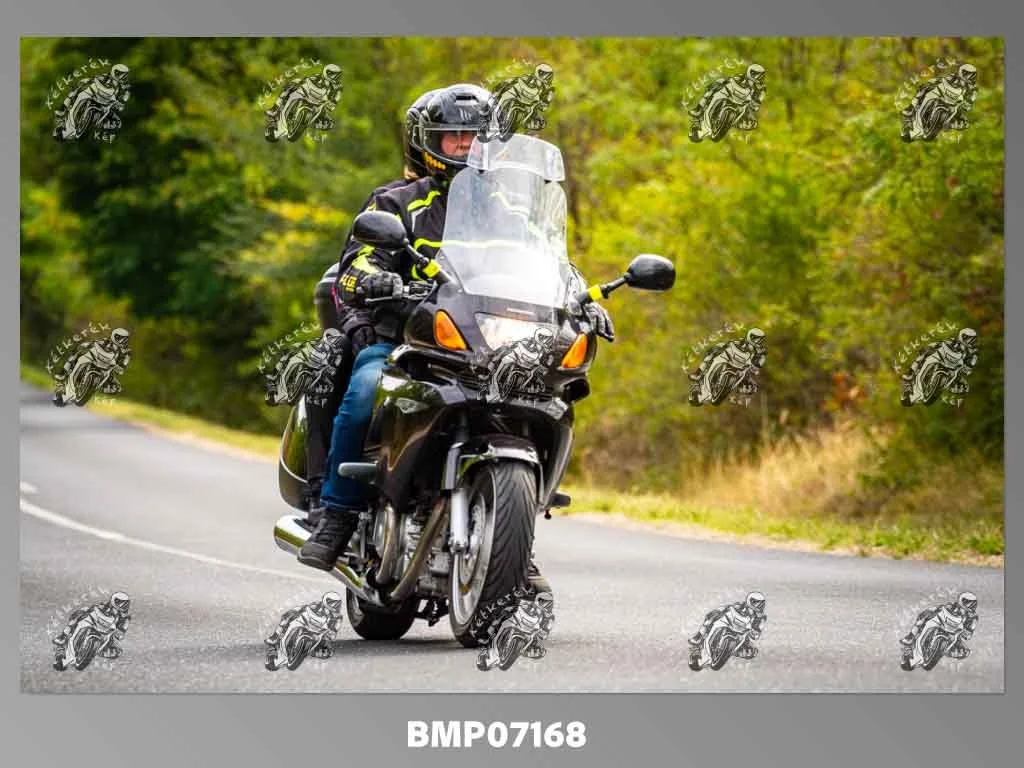 zhp09.13-302.jpg
