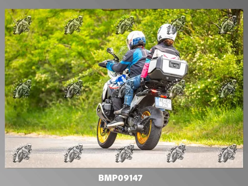 zhp05.31-618.jpg