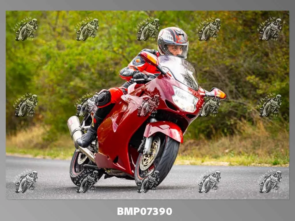 zhp09.13-488.jpg