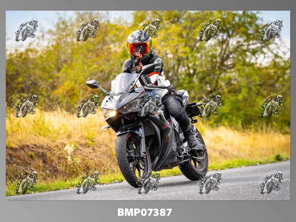 zhp09.13-485.jpg