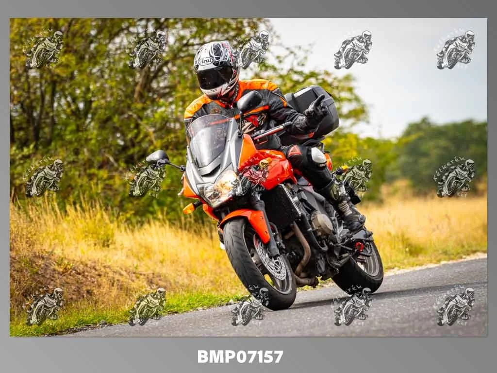 zhp09.13-291.jpg