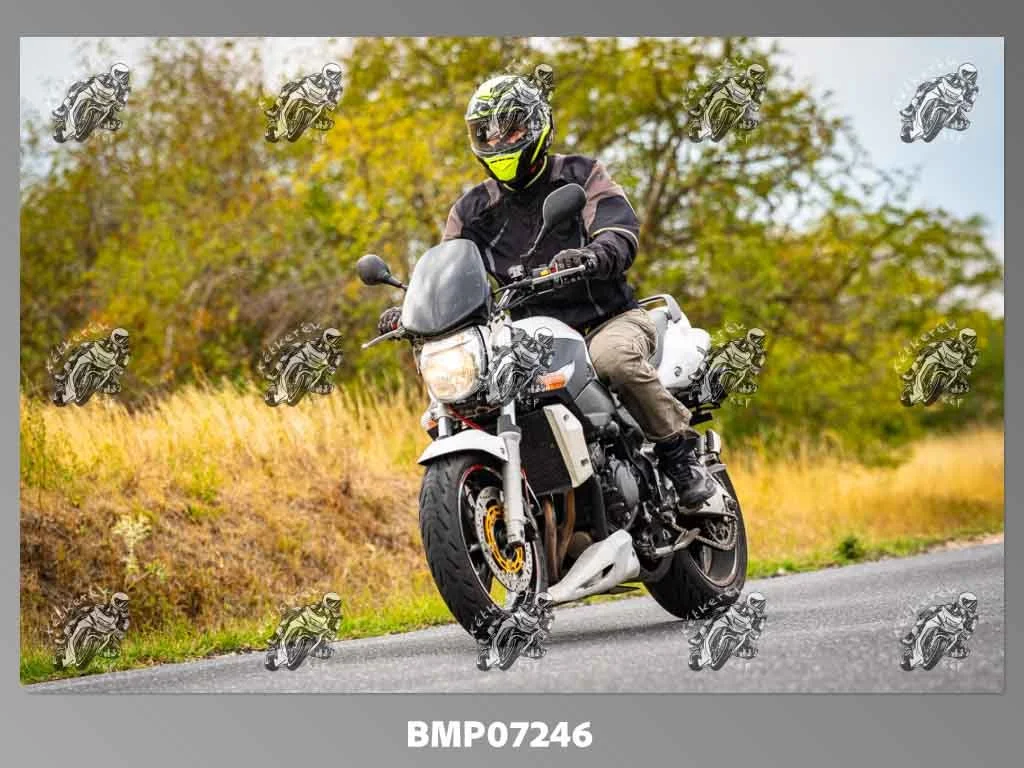 zhp09.13-374.jpg