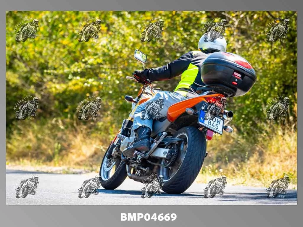 zhp08.09-175.jpg