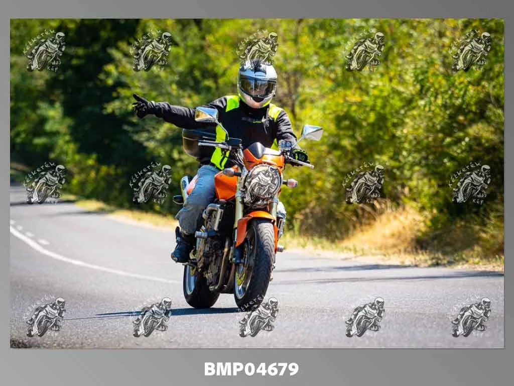 zhp08.09-185.jpg