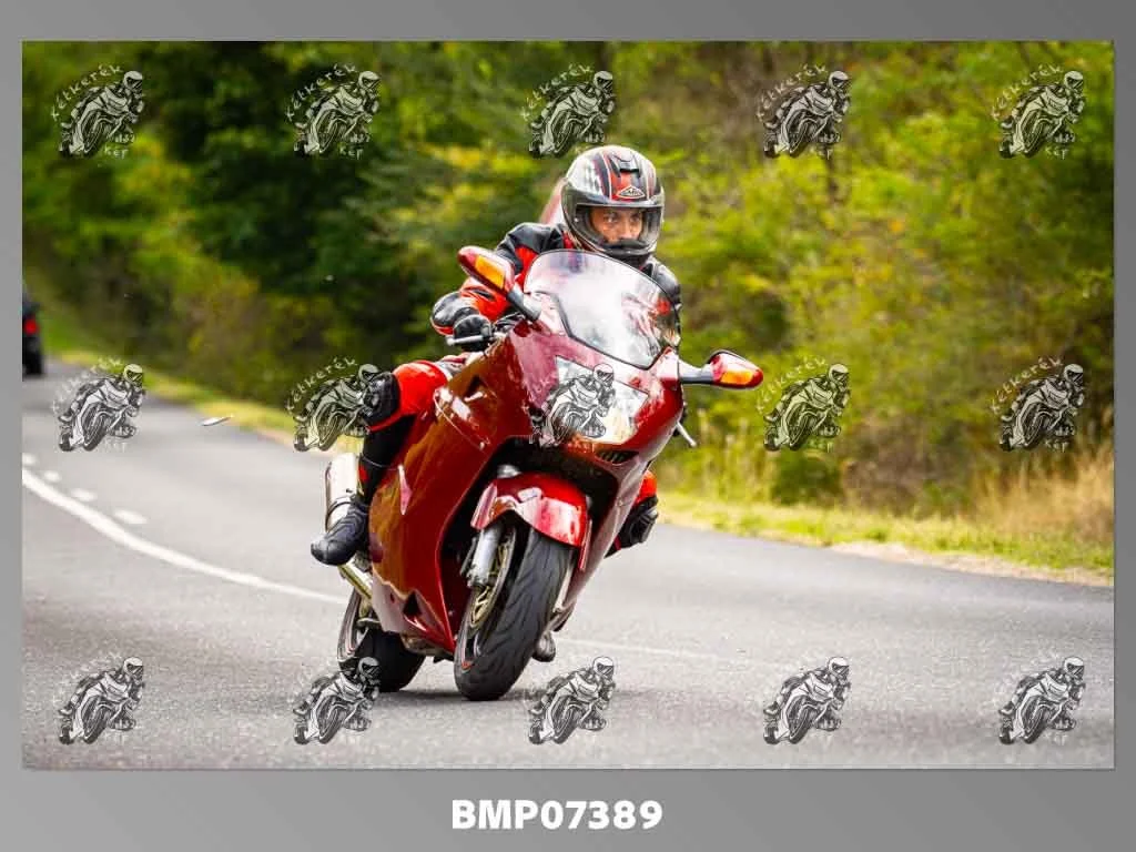 zhp09.13-487.jpg