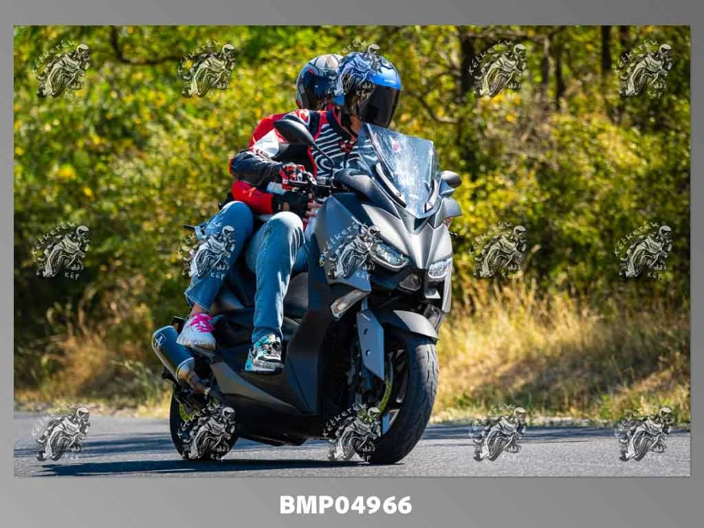 zhp08.09-461.jpg