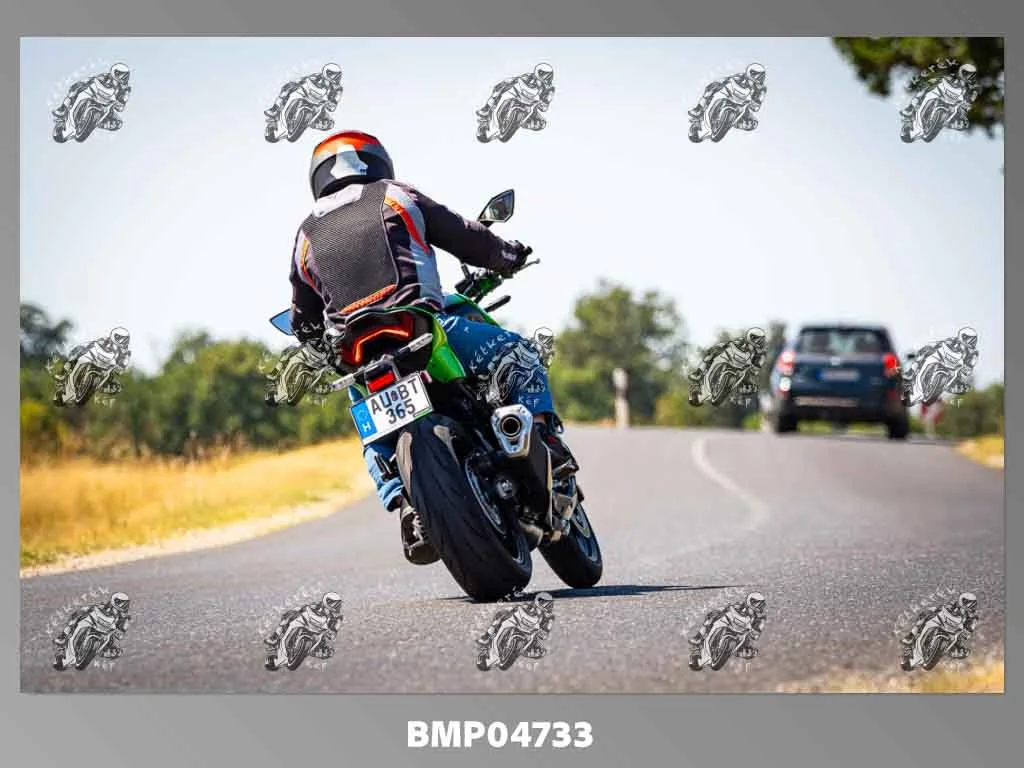 zhp08.09-236.jpg