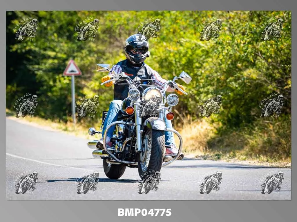 zhp08.09-278.jpg