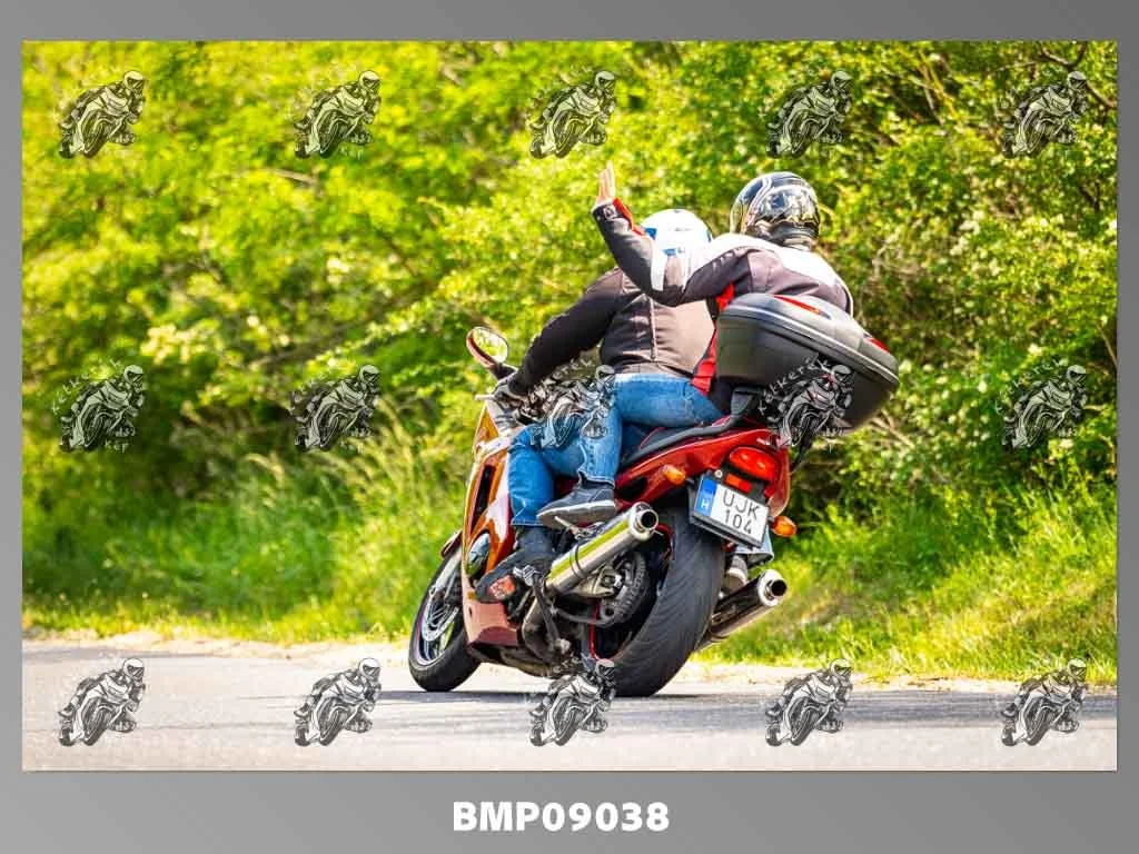 zhp05.31-518.jpg