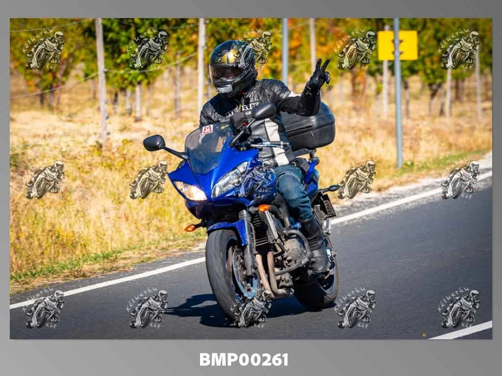 vsz10.04-0013.jpg