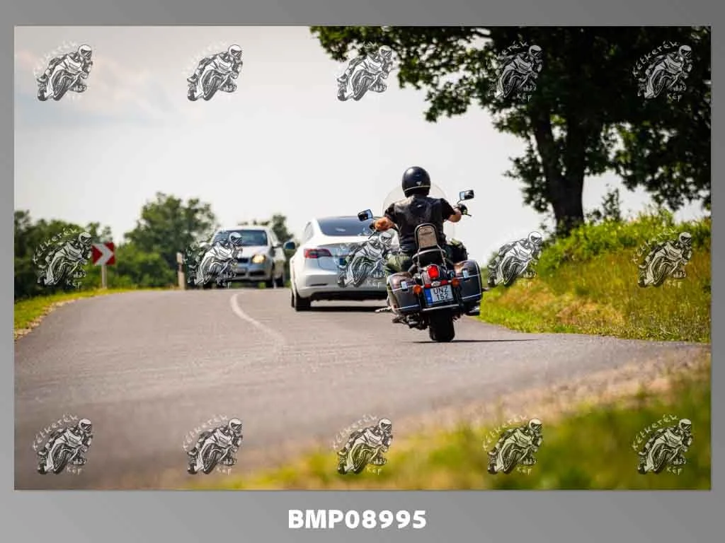 zhp05.31-478.jpg