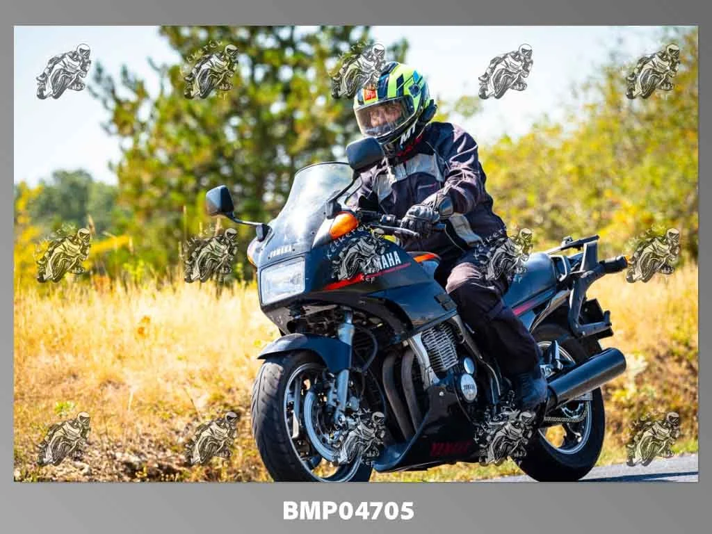 zhp08.09-210.jpg