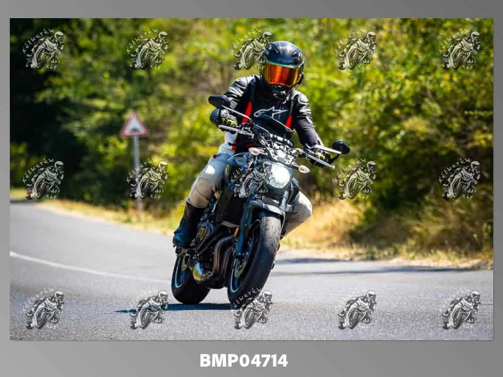 zhp08.09-219.jpg