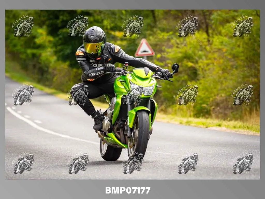 zhp09.13-310.jpg