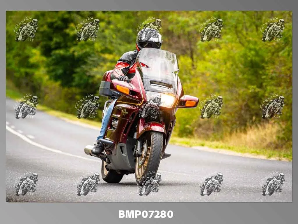 zhp09.13-408.jpg