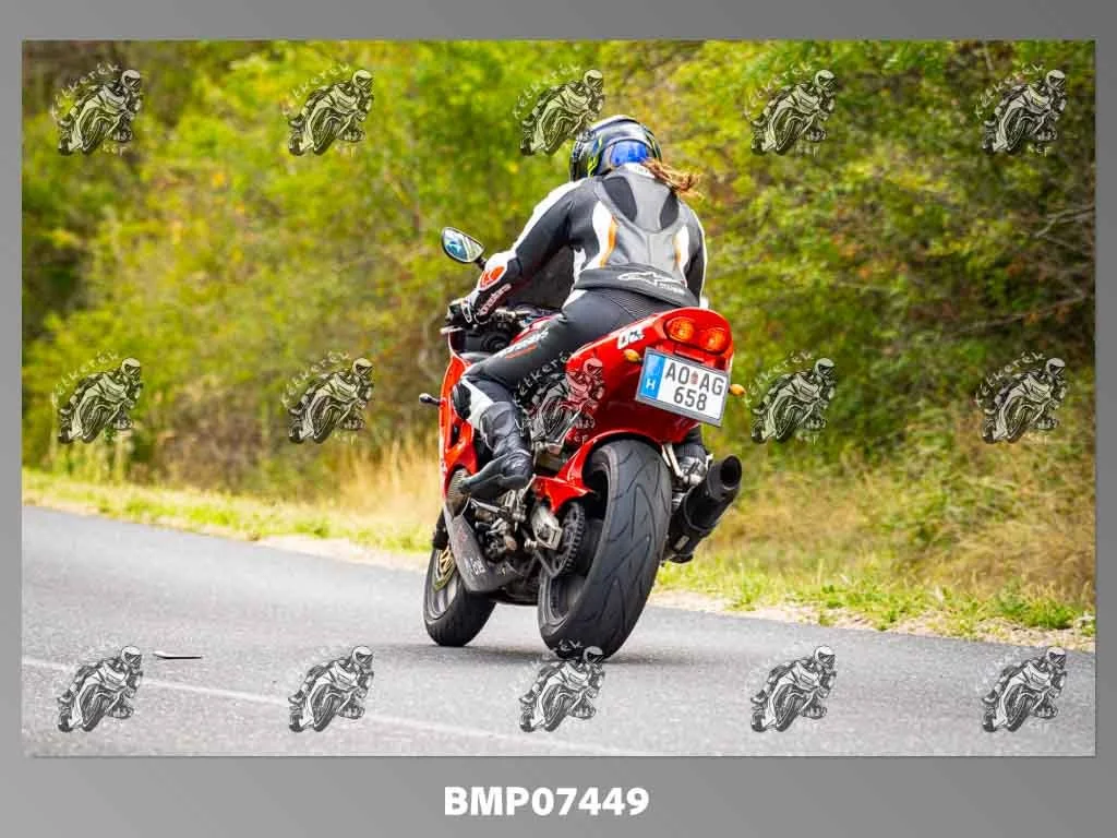 zhp09.13-544.jpg