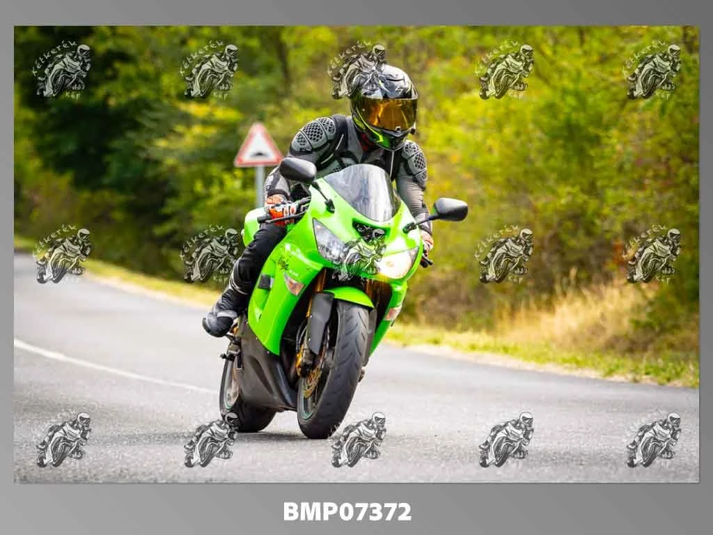 zhp09.13-470.jpg