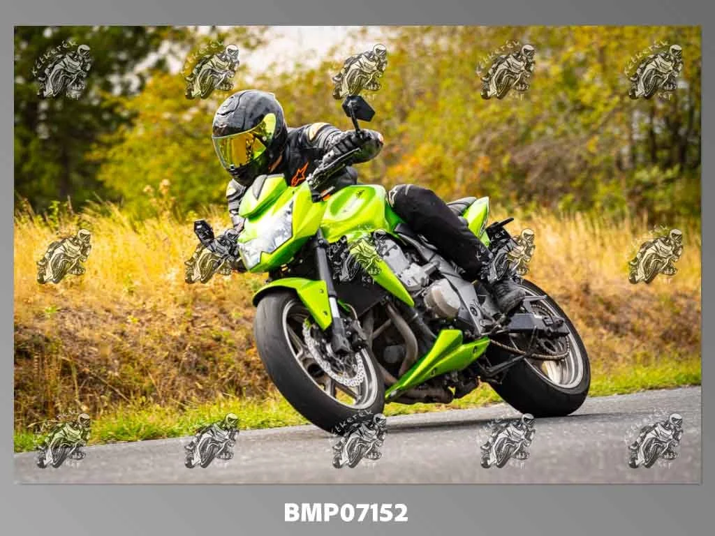 zhp09.13-286.jpg