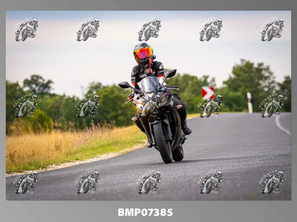 zhp09.13-483.jpg