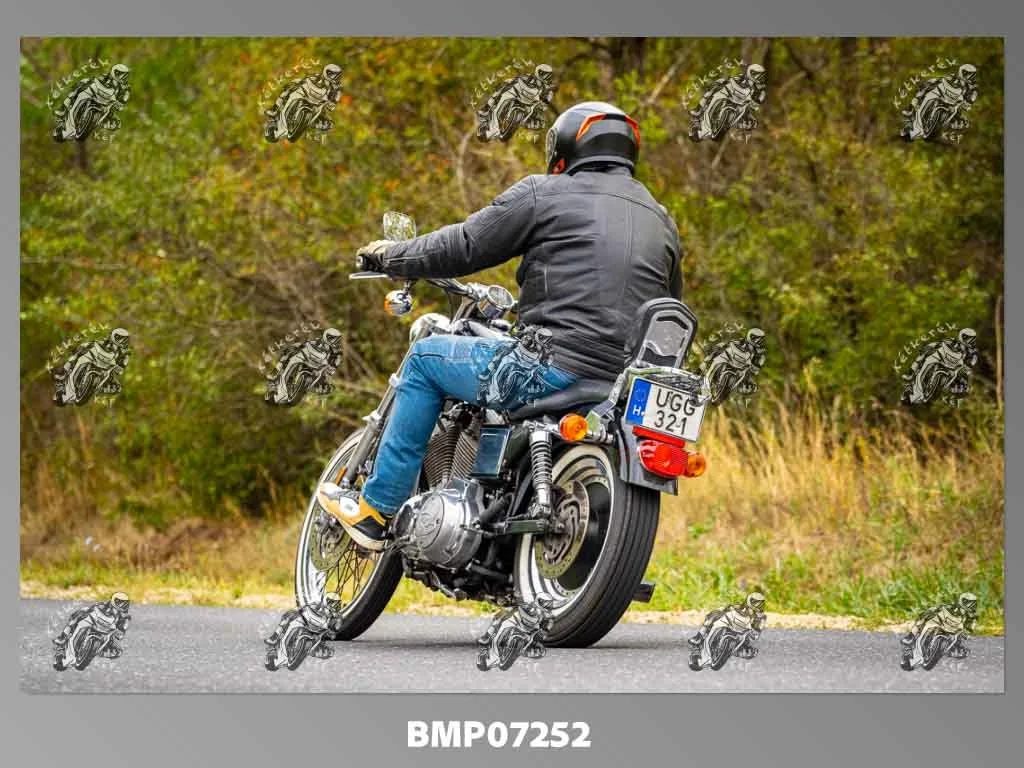 zhp09.13-380.jpg
