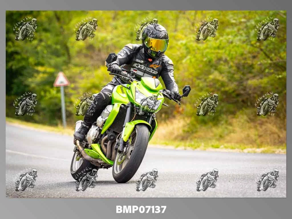 zhp09.13-271.jpg