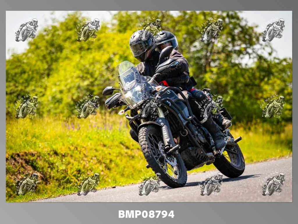 zhp05.31-290.jpg