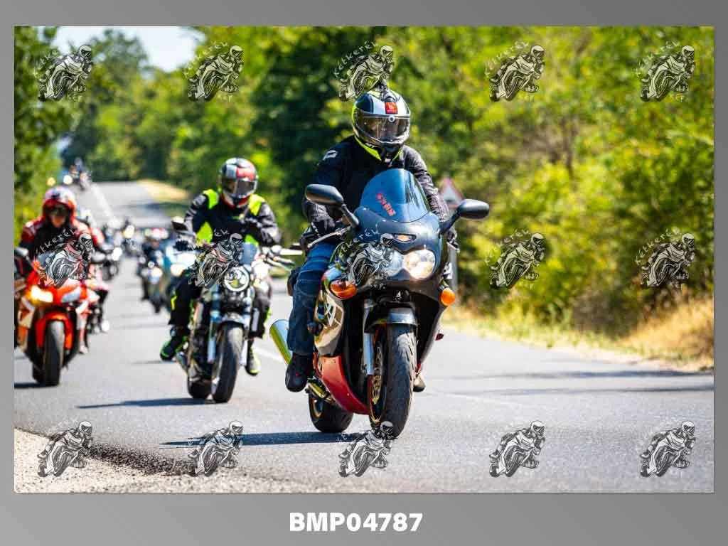 zhp08.09-290.jpg
