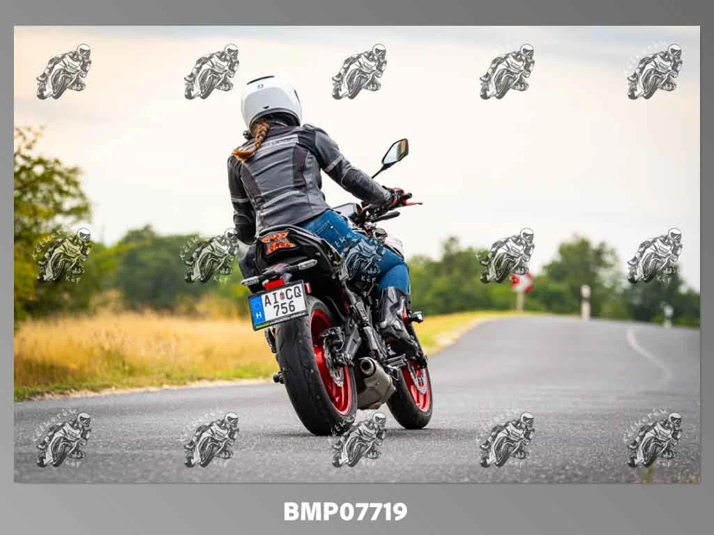 zhp09.13-786.jpg