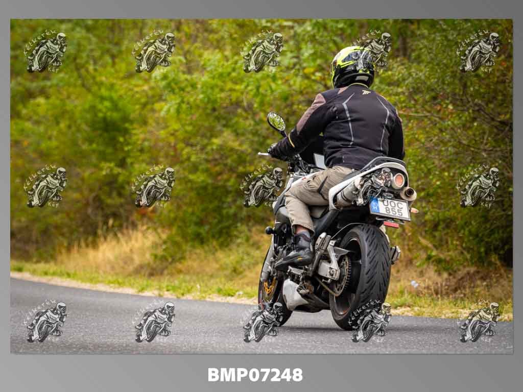 zhp09.13-376.jpg